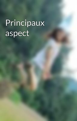 Principaux aspect