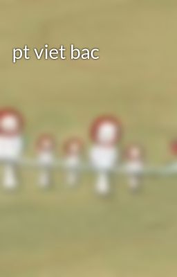 Đọc Truyện pt viet bac - Truyen2U.Net