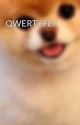 QWERTYFLY