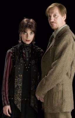 Remus Lupin x Nymphadora Tonks: Besides the story