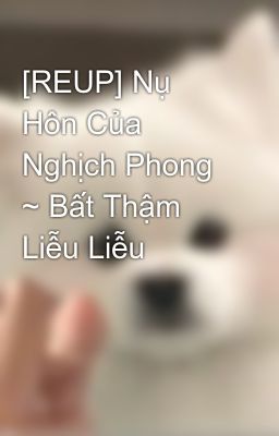 Đọc Truyện [REUP] Nụ Hôn Của Nghịch Phong ~ Bất Thậm Liễu Liễu - Truyen2U.Net