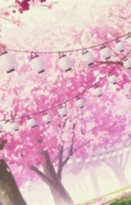 Sakura's Spring