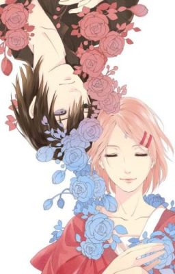 (Sasusaku) (Nữ phụ văn) Năm Ấy, Em Từng Yêu Anh