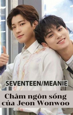 「SEVENTEEN/MEANIE」-  Châm ngôn sống của Jeon Wonwoo 