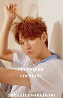 Đọc Truyện « seventeen oneshots » - Truyen2U.Net
