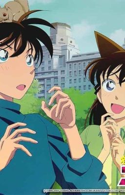 [ShinRan] Đó Có Phải Là Định Mệnh?