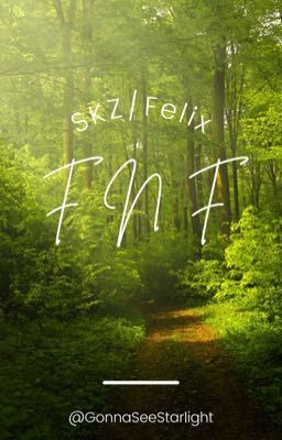 SKZ/Felix | FNF