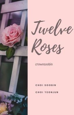Đọc Truyện [SooJun][Trans] Mười hai bông hồng  - Truyen2U.Net