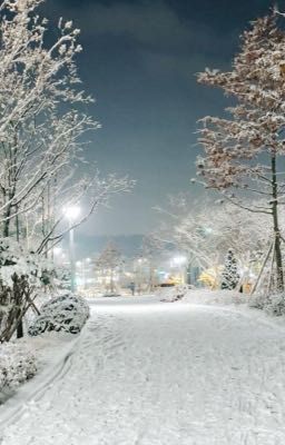 [Soojun/Yeonbin] - Đêm tuyết