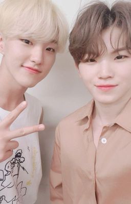 SoonHoon | Hổ | SEVENTEEN |