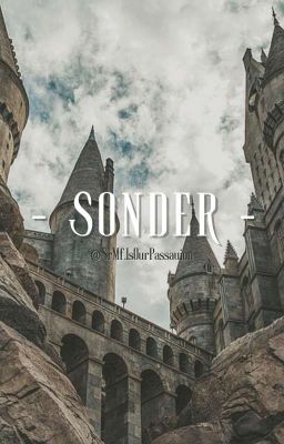 [SrMf] SONDER (On-going)