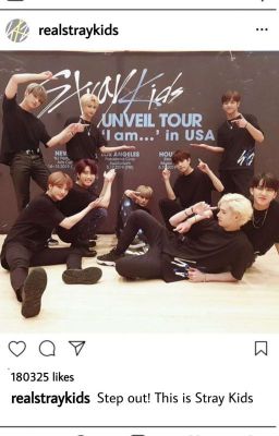 [Stray Kids] Skidz Lovagram