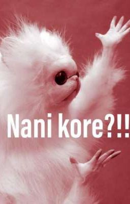 Sử