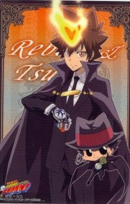 Đọc Truyện Sự trở lại của Tsuna , VONGOLA DECIMO - Truyen2U.Net