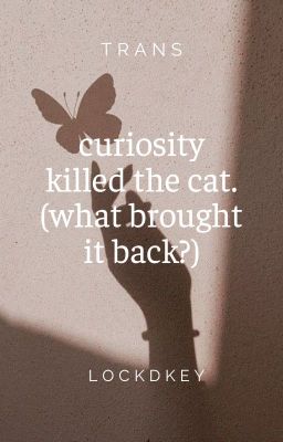 taegyu |trans| curiosity killed the cat. (what brought it back?)