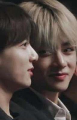 (Taekook) Tổng Hợp 