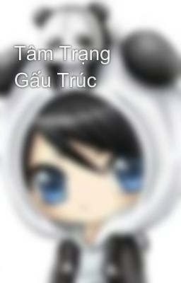 Tâm Trạng Gấu Trúc 