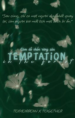 Đọc Truyện Temptation In The Forest - Truyen2U.Net