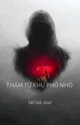 Thám tử khu phố nhỏ ( Phần 1)