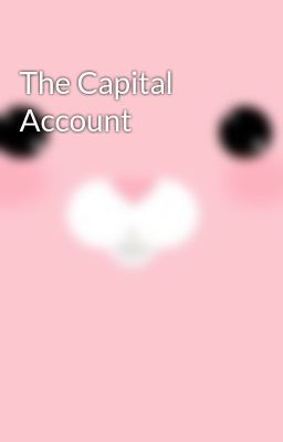 The Capital Account