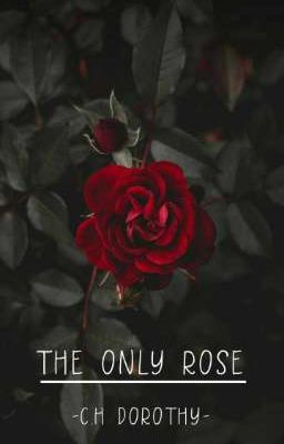 THE ONLY ROSE 