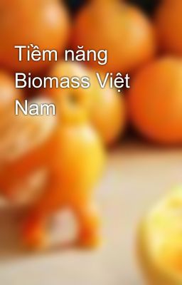Tiềm năng Biomass Việt Nam