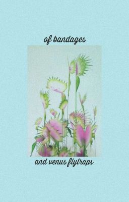 Đọc Truyện [Trans] [BTS | KookV] Of Bandages And Venus Flytraps ✔ - Truyen2U.Net