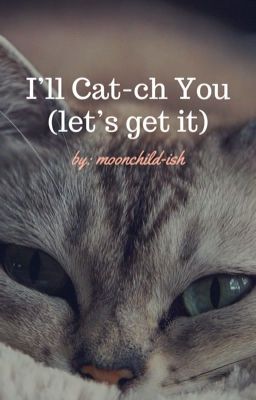 trans | jikook/kookmin | i'll cat-ch you 