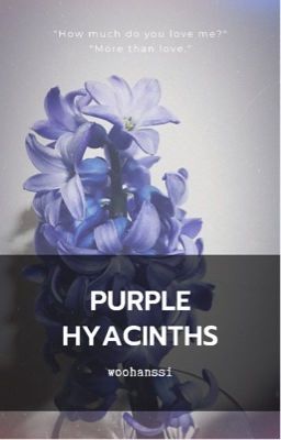 Đọc Truyện [Trans] KaiBeom | Purple Hyacinths - Truyen2U.Net