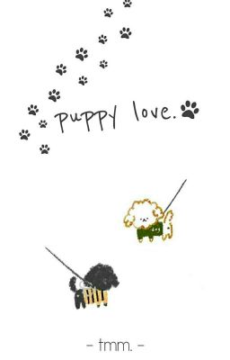 trans | kookmin • puppy love