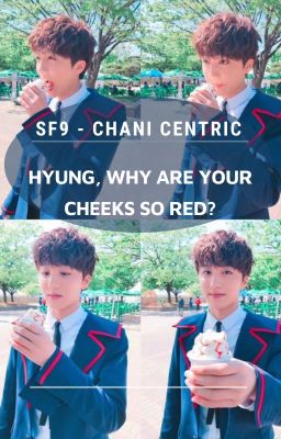 [Transfic] { SF9 - Chani centric } hyung, why are your cheeks so red?