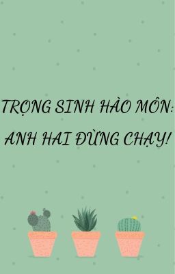 TRỌNG SINH HÀO MÔN: ANH HAI ĐỪNG CHẠY!