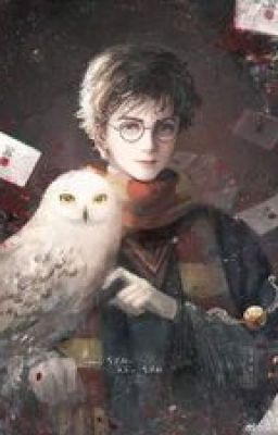 Đọc Truyện Trọng sinh thành em gái song sinh của Harry Potter - Truyen2U.Net