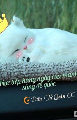 Trực tiếp hàng ngày của manh sủng đế quốc - Dữu Tử Quân CC