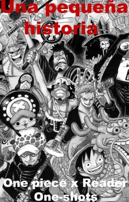 One Piece x Reader One-shots