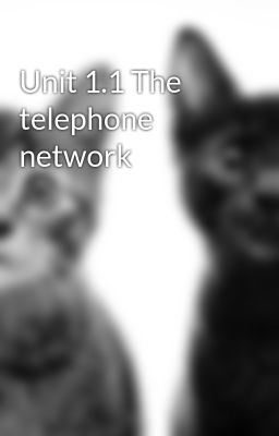 Unit 1.1 The telephone network