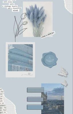 voxto • collection