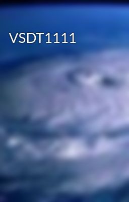 VSDT1111
