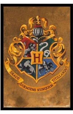 Đọc Truyện [Vtrans] Seventeen in Hogwarts - Truyen2U.Net