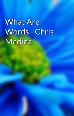 What Are Words - Chris Medina