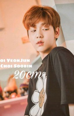 [ Yeonbin ]  20cm