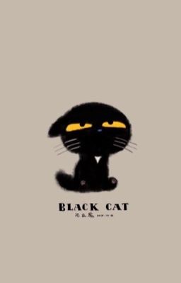 [YOONMIN] Black Cat.