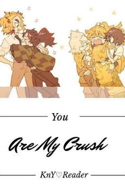 Đọc Truyện You Are My Crush ❀Kny♡Reader❀ [ Drop/ Tôi Sẽ Cố Gắng Trả Đơn Sau T^T] - Truyen2U.Net