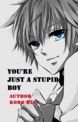 You're just a stupid boy