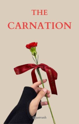 ZeeNuNew | The Carnation