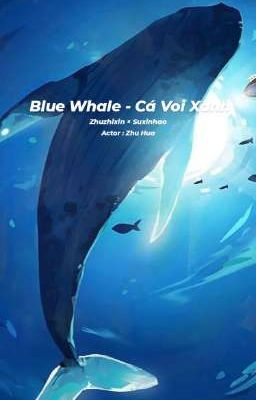 Zhusu_Blue Whale - Cá voi xanh
