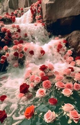 『ғᴀɴғɪᴄ  ᴠề  ᴄáᴄ ᴄᴘ  ᴛʀᴏɴɢ  ᴊᴀᴋɪ』
